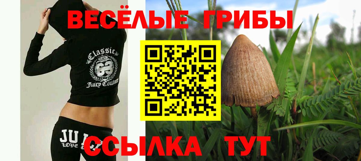 Галлюциногенные грибы мухоморы  где продают   Калуга  Вход с VPN 